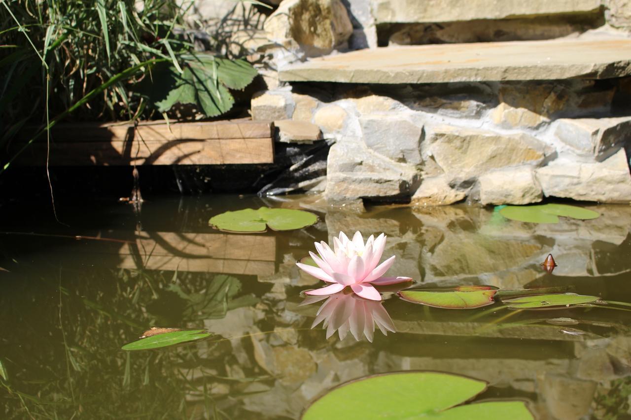 Maetok 4 Pidkovy Motel Podbereztsy Dış mekan fotoğraf
